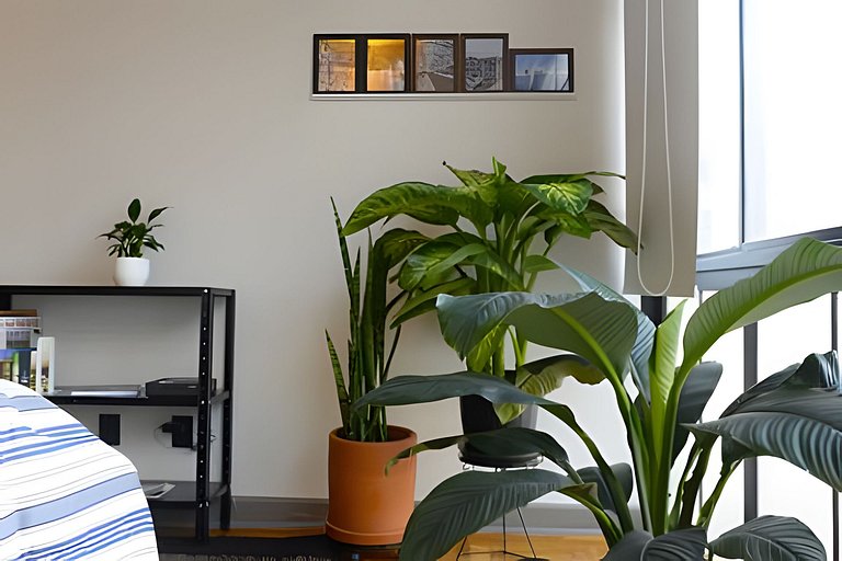 Viagens do 1207 no Copan