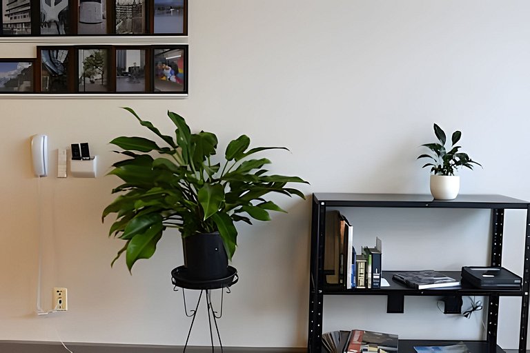 Viagens do 1207 no Copan